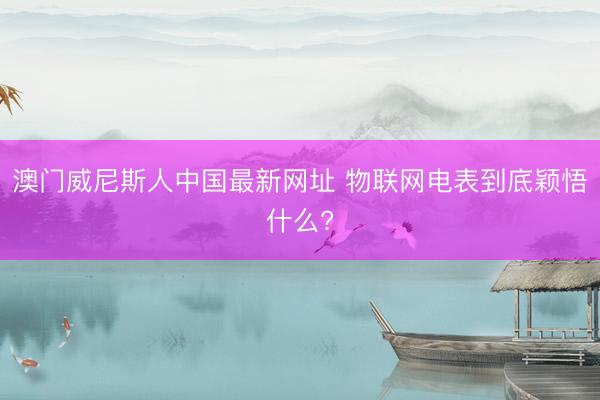 澳门威尼斯人中国最新网址 物联网电表到底颖悟什么?