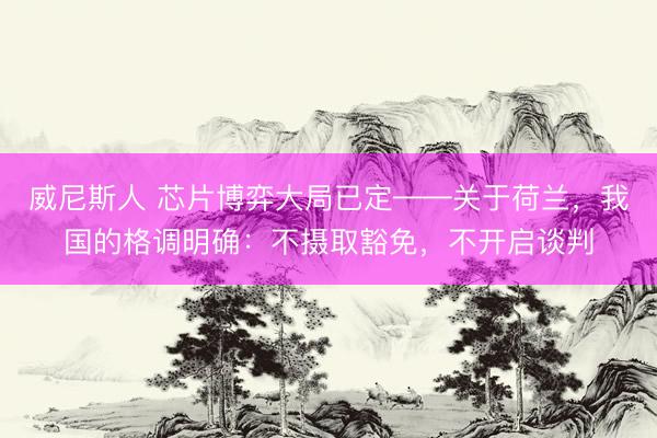 威尼斯人 芯片博弈大局已定——关于荷兰，我国的格调明确：不摄取豁免，不开启谈判