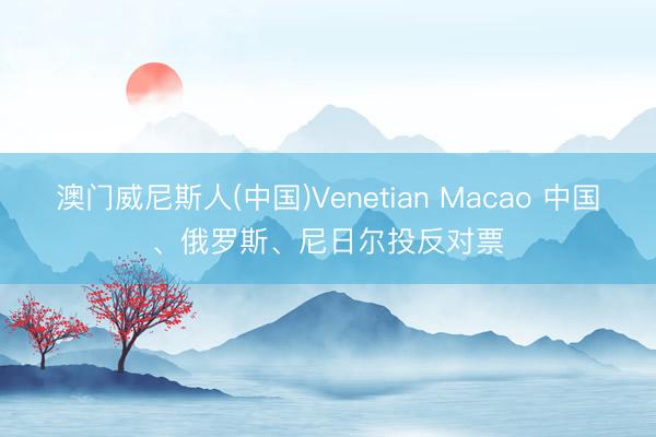 澳门威尼斯人(中国)Venetian Macao 中国、俄罗斯、尼日尔投反对票