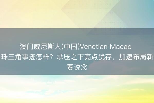 澳门威尼斯人(中国)Venetian Macao 国有行珠三角事迹怎样？承压之下亮点犹存，加速布局新赛说念